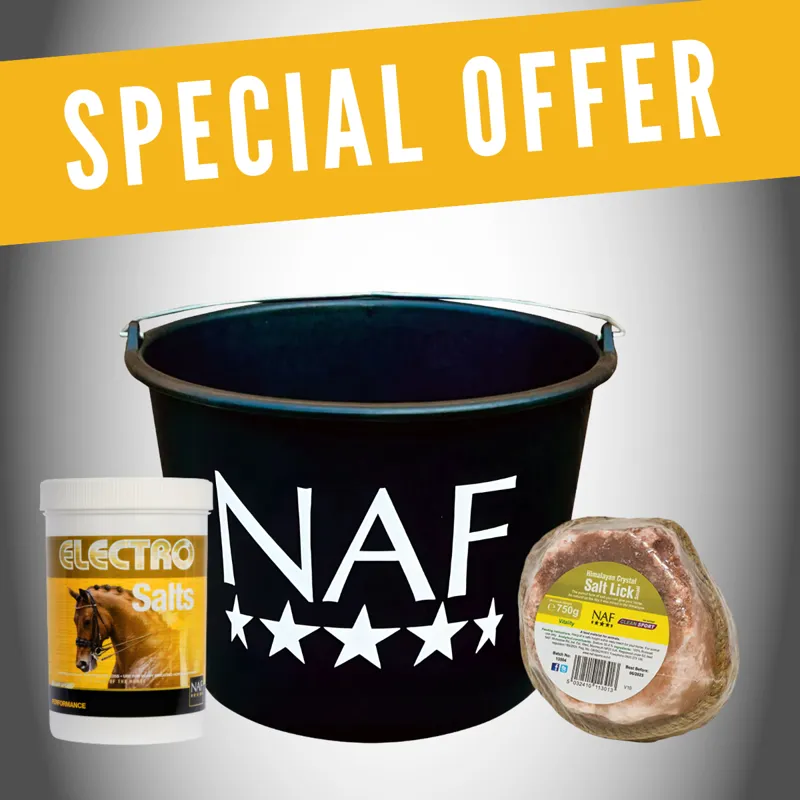 NAF Bundle - 1x Electro Salts 1kg 1x Small Himalayan Salt Lick 1x NAF Branded Bucket