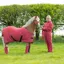 Supreme Products Dotty Fleece Rug - Rich Raspberry