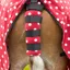 Supreme Products Dotty Fleece Tail Guard - Rich Raspberry