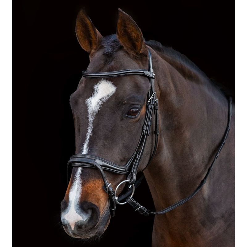 Schockemohle Ancona Select Bridle - Black/Silver-2