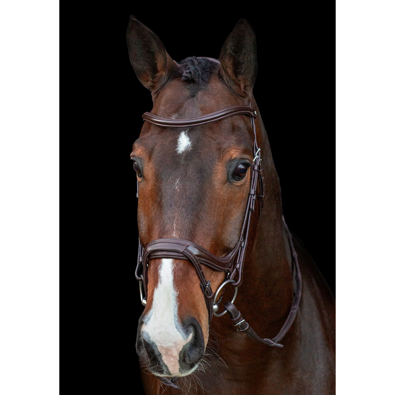 Schockemohle Ancona Select Bridle - Espresso/Silver-3