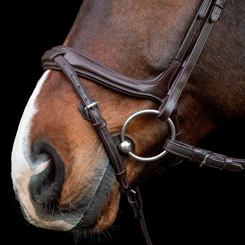 Schockemohle Ancona Select Bridle - Espresso/Silver-2