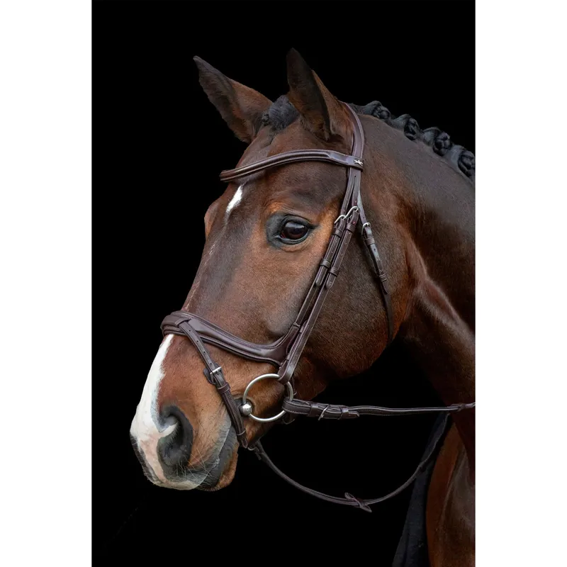 Schockemohle Ancona Select Bridle - Espresso/Silver-1