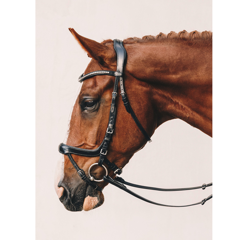 Schockemohle Equitus Omega Bridle - Black/Silver-3