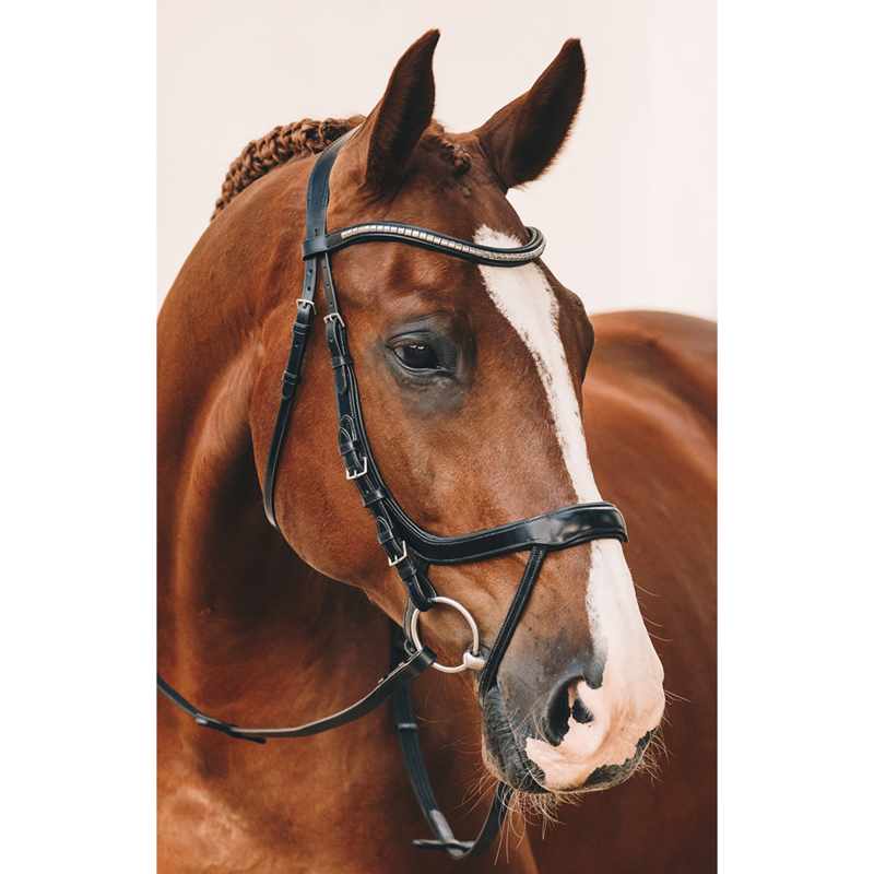 Schockemohle Equitus Omega Bridle - Black/Silver-1