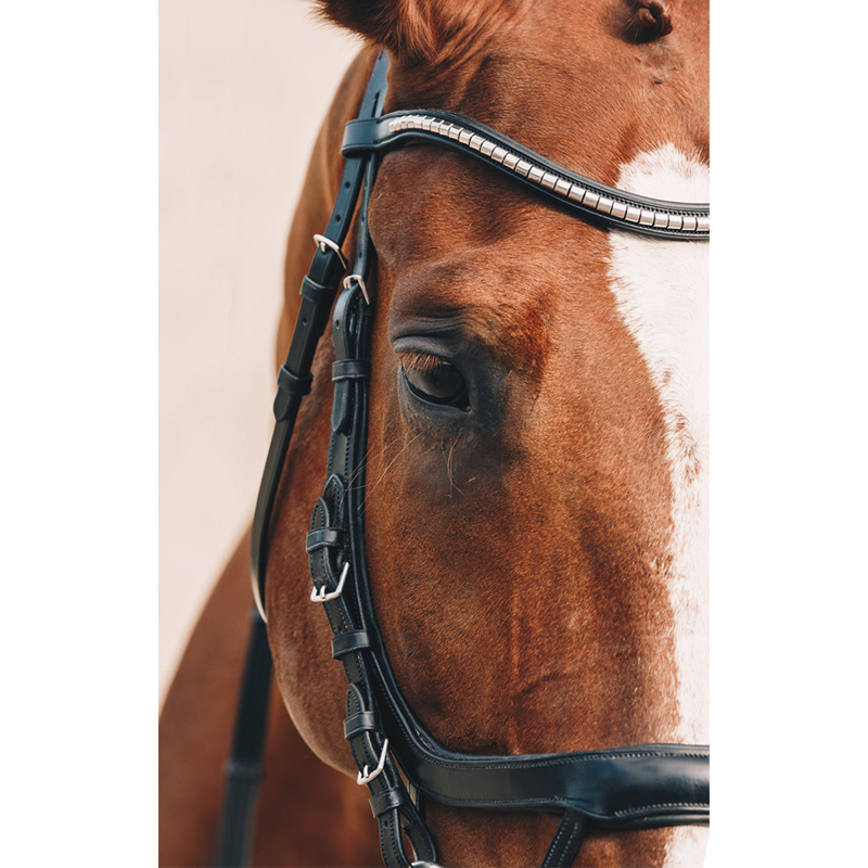 Schockemohle Equitus Omega Bridle - Black/Silver-2