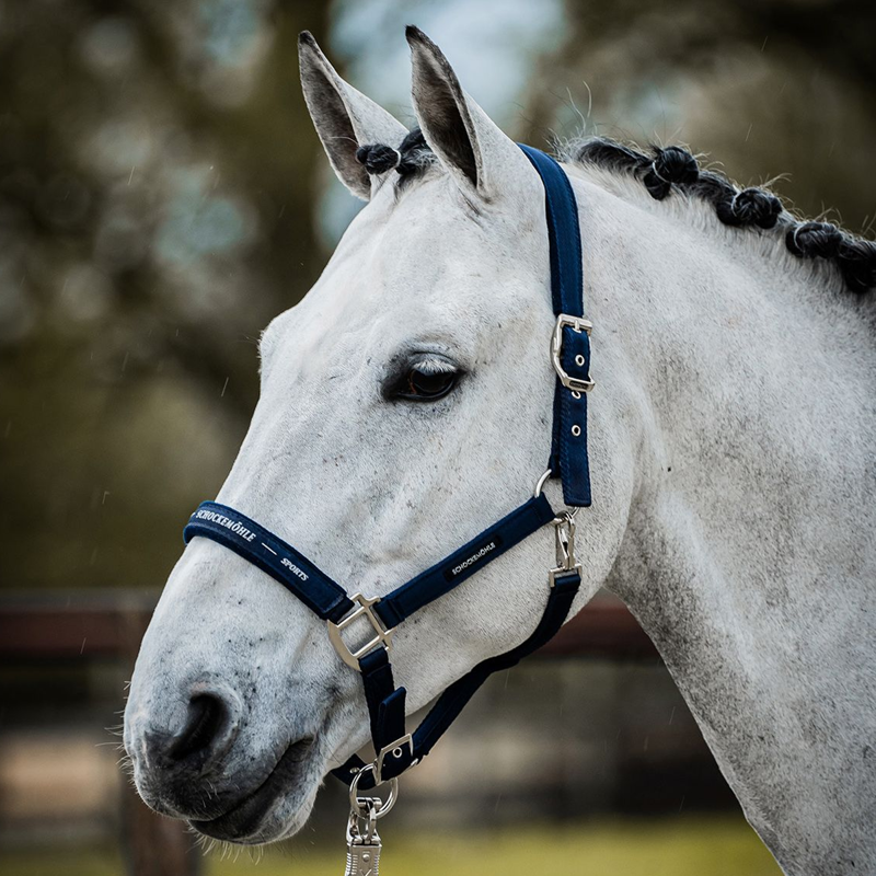 Schockemohle Memphis Style II Headcollar - Deep Night-2