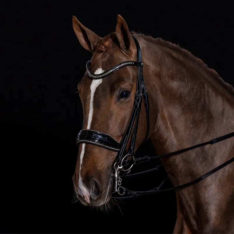 Schockemohle Milan Glam Double Bridle - Black/Patent/Silver-2