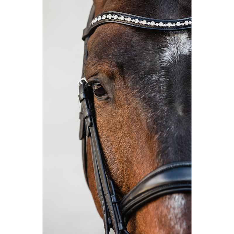 Schockemohle Milton Double Bridle - Black/Silver-2