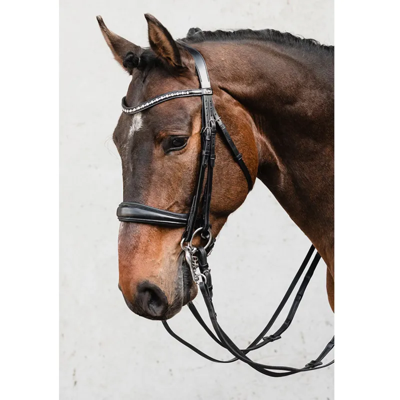 Schockemohle Milton Double Bridle - Black/Silver-1