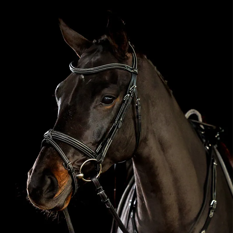 Schockemohle Tokyo F Select Bridle - Black/Cream/Silver-1