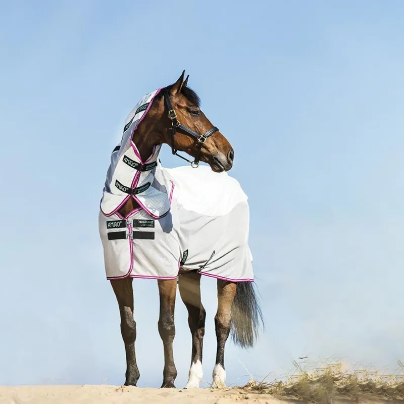 Horseware Amigo Airflow Fly Rug - Green/Purple/Mint 