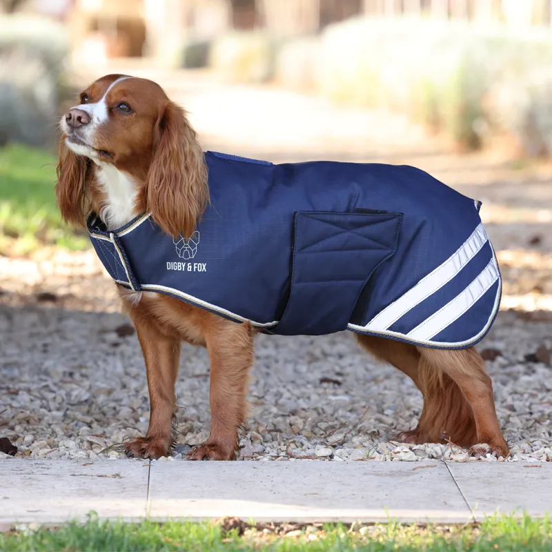 Shires Digby and Fox Lite Waterproof Dog Coat - Navy