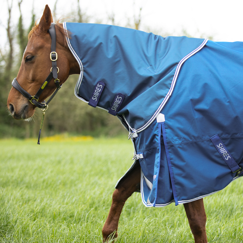Shires Highlander Original 200 Turnout Rug and Neck - Blue-3