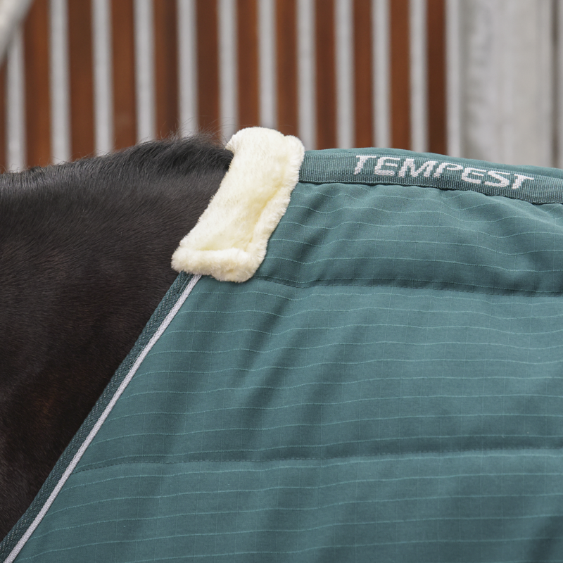Shires Tempest Original 200 Stable Rug - Emerald-4