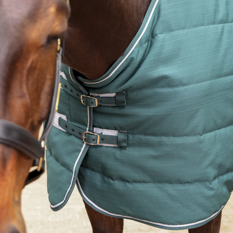 Shires Tempest Original 200 Stable Rug - Emerald-1