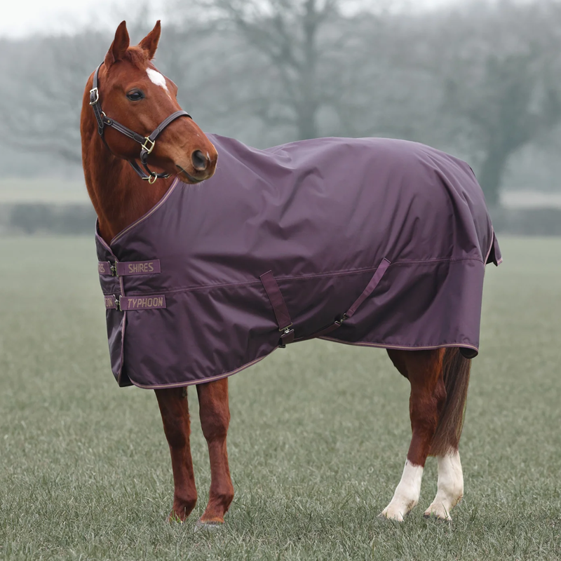 Shires Typhoon 100 Turnout Rug - Black Cherry-2