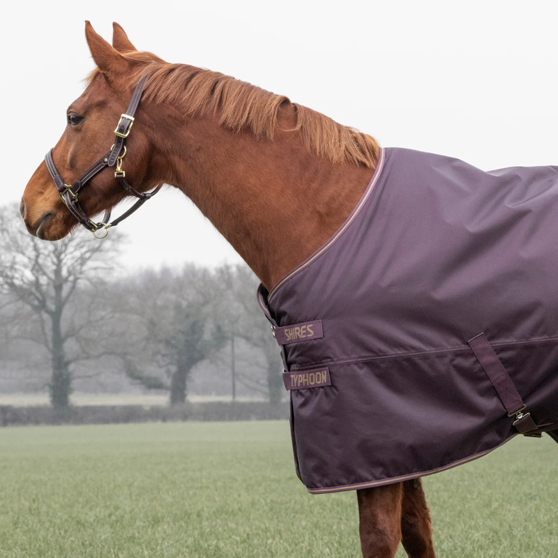 Shires Typhoon 100 Turnout Rug - Black Cherry-5