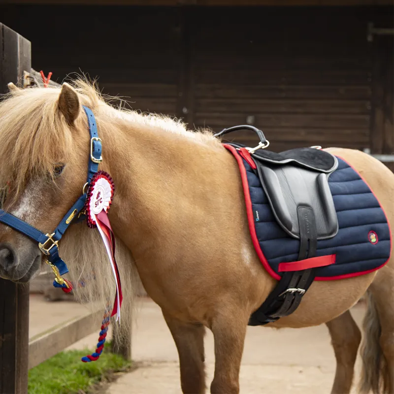 Shires Winnie and Me Saddle Pad - Navy-5