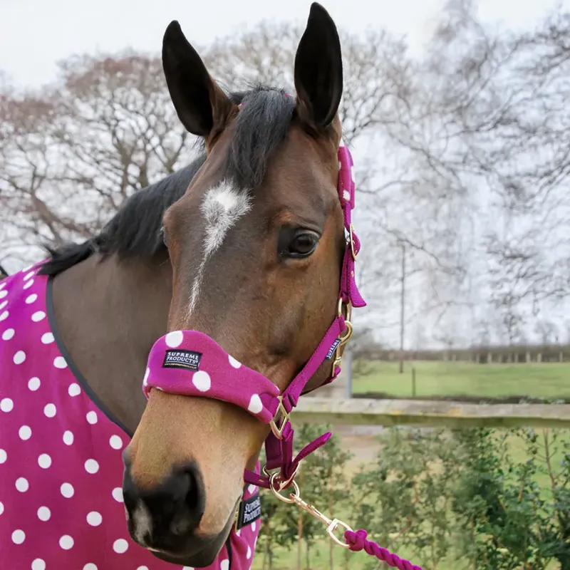 Supreme Products Dotty Fleece Headcollar and Leadrope - Magical Mulberry