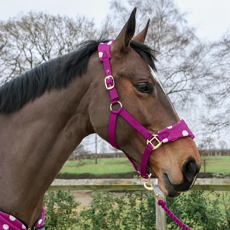 Supreme Products Dotty Fleece Headcollar and Leadrope - Magical Mulberry-1