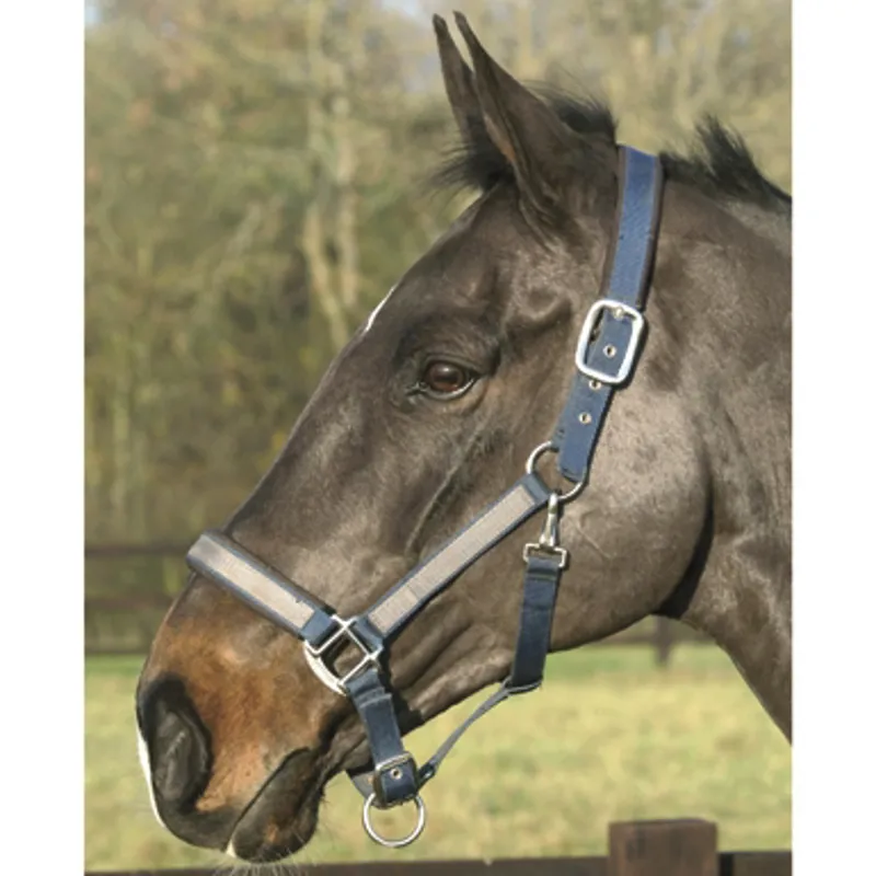Mark Todd Padded Headcollar In Blue/Grey