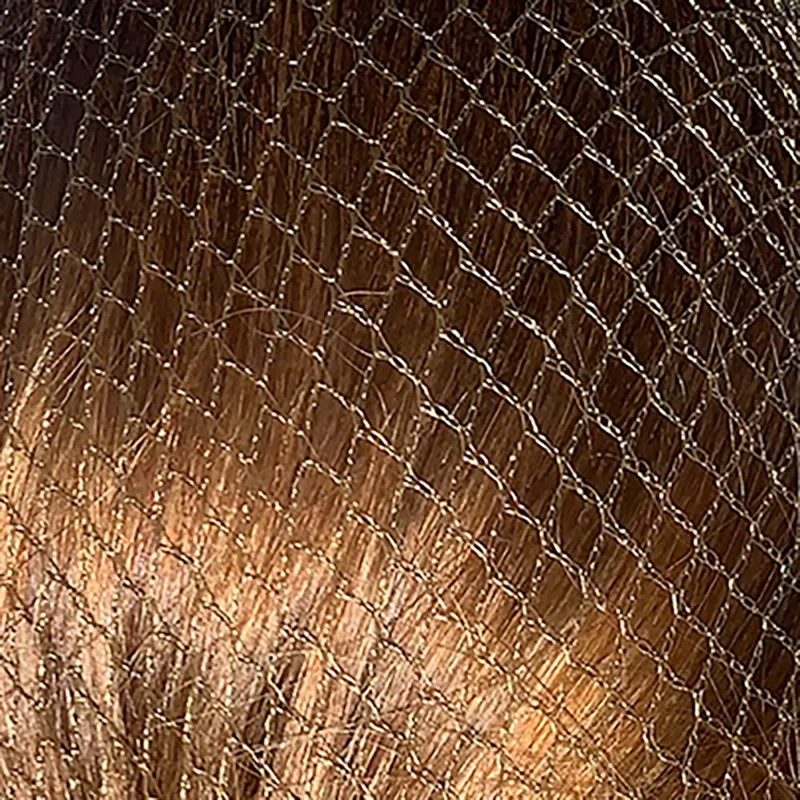 Bitz Twin Pack Standard Hairnets in Light Brown