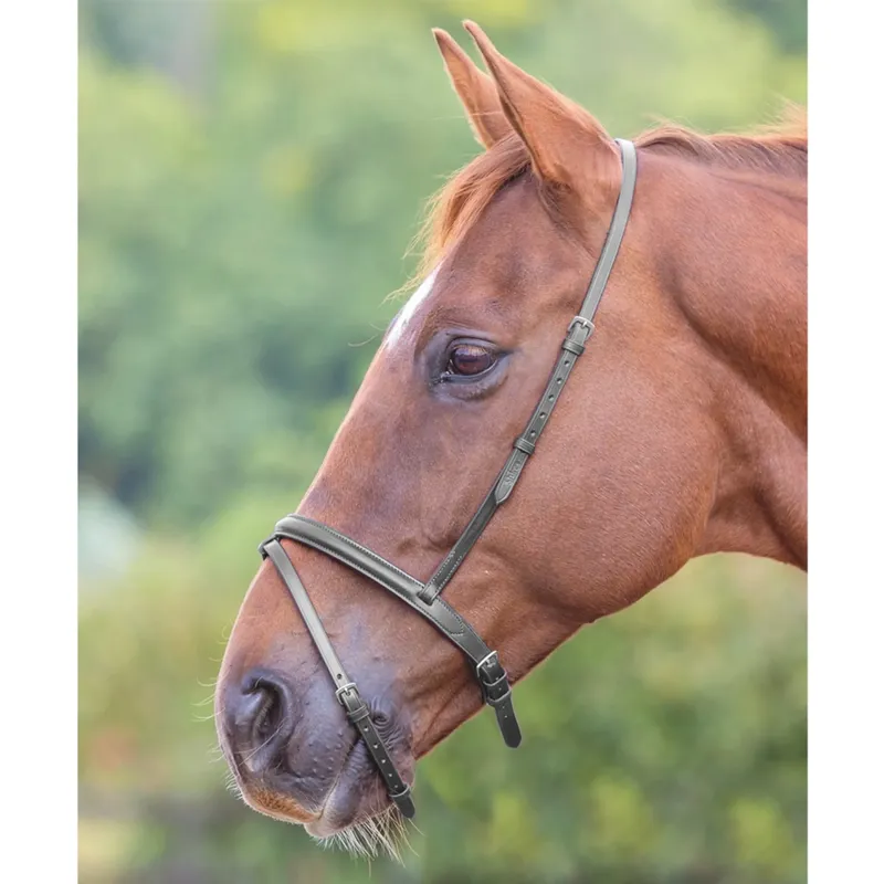 Shires Velociti GARA Flash Noseband - Black