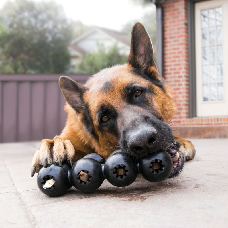 KONG Extreme Goodie Ribbon Dog Toy Medium - Black