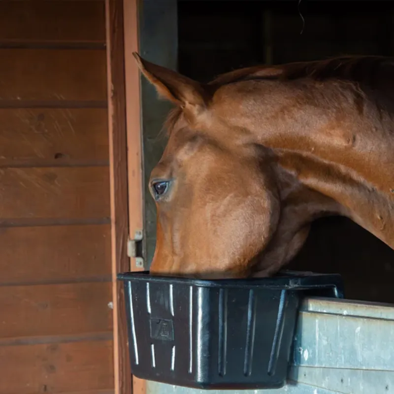 Red Gorilla Tyre Rubber A1 Hanging Portable Manger - Black-1
