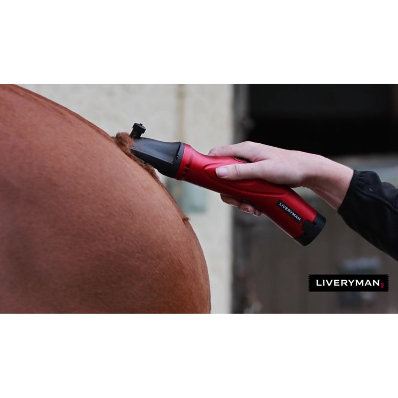 Liveryman Phoenix Clipper-4