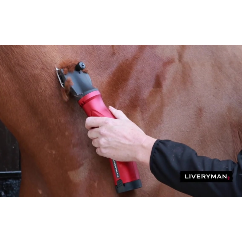 Liveryman Phoenix Clipper-3