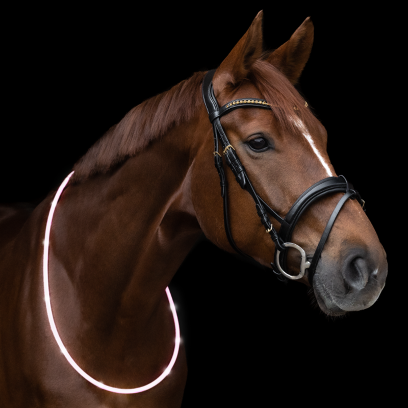 Agrihealth LED Neck Strap-2