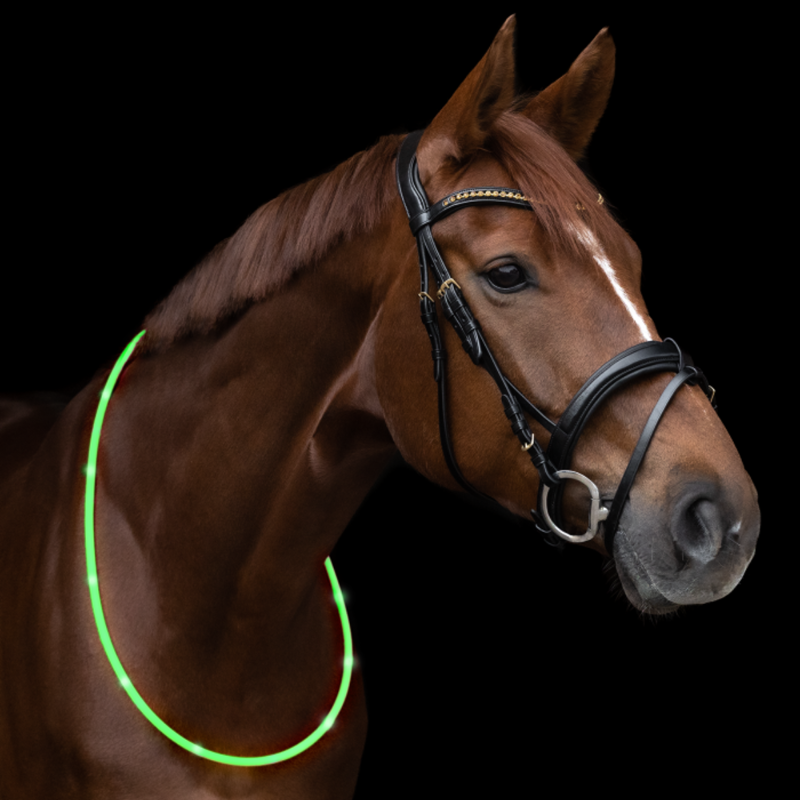 Agrihealth LED Neck Strap-1