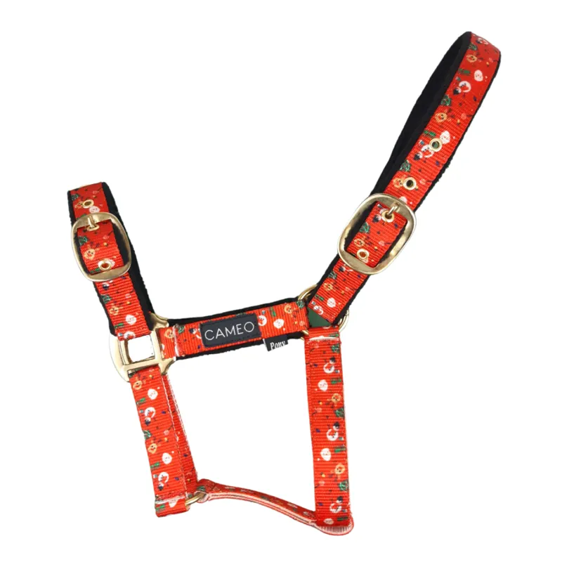 Cameo Zest Headcollar - Christmas