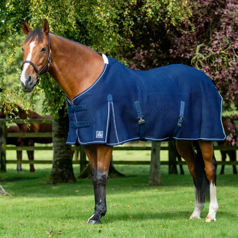 Mackey Shannon Air Cooler Rug - Navy