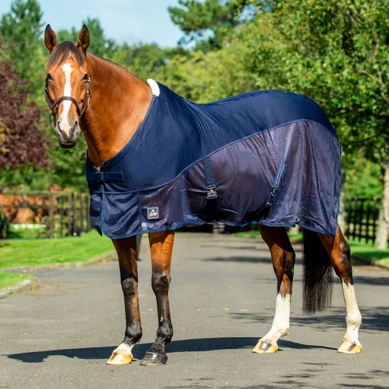 Mackey Tara Hybrid Cooler Rug - Navy