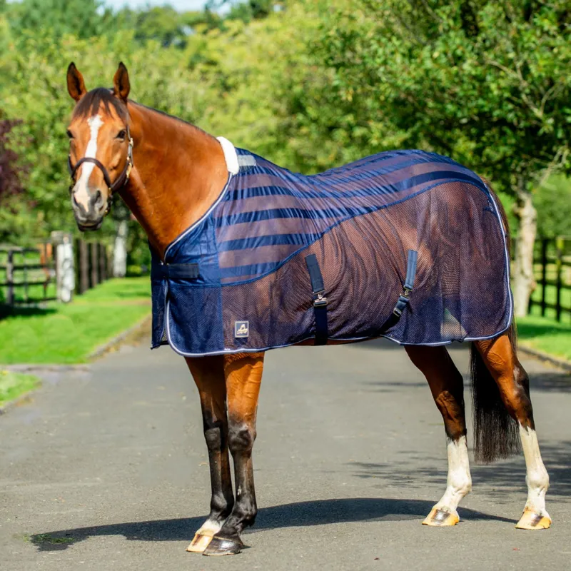 Equi-sential Net cooler Rug - Navy