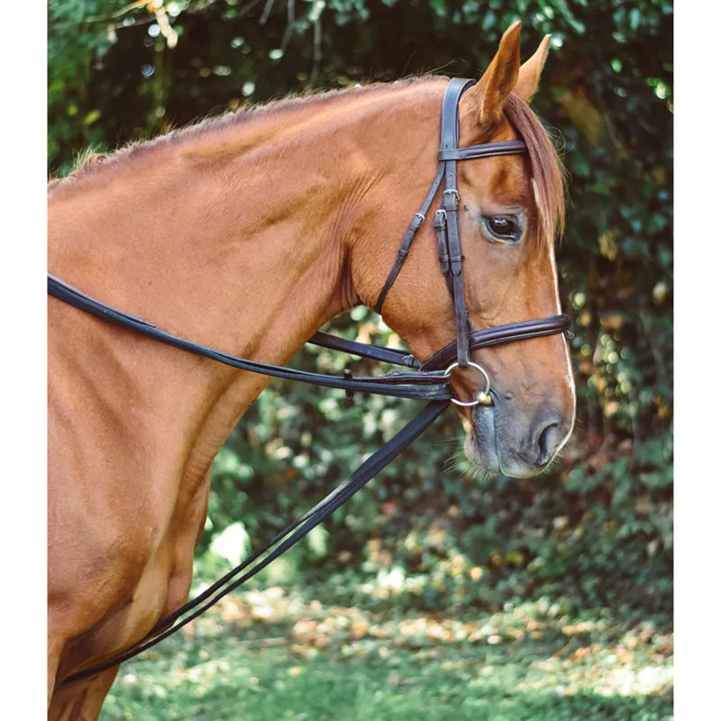 Equisential Padded Draw Reins - Black