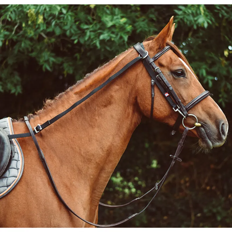 Equisential Anti-Grazing Reins - Black