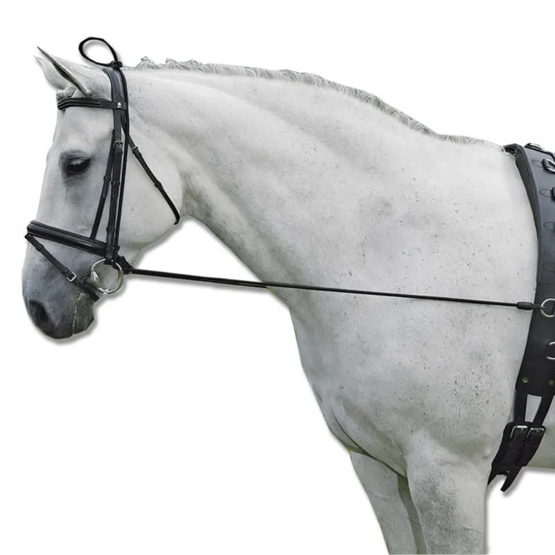 Waldhausen Elastic Training Rein - Black