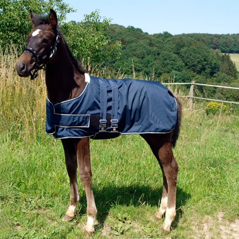 Waldhausen Foal Turnout Rug