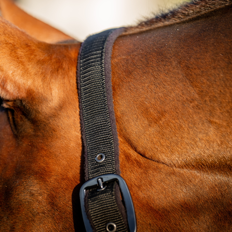 Horseware Amigo Headcollar and Leadrope Set - Black-3