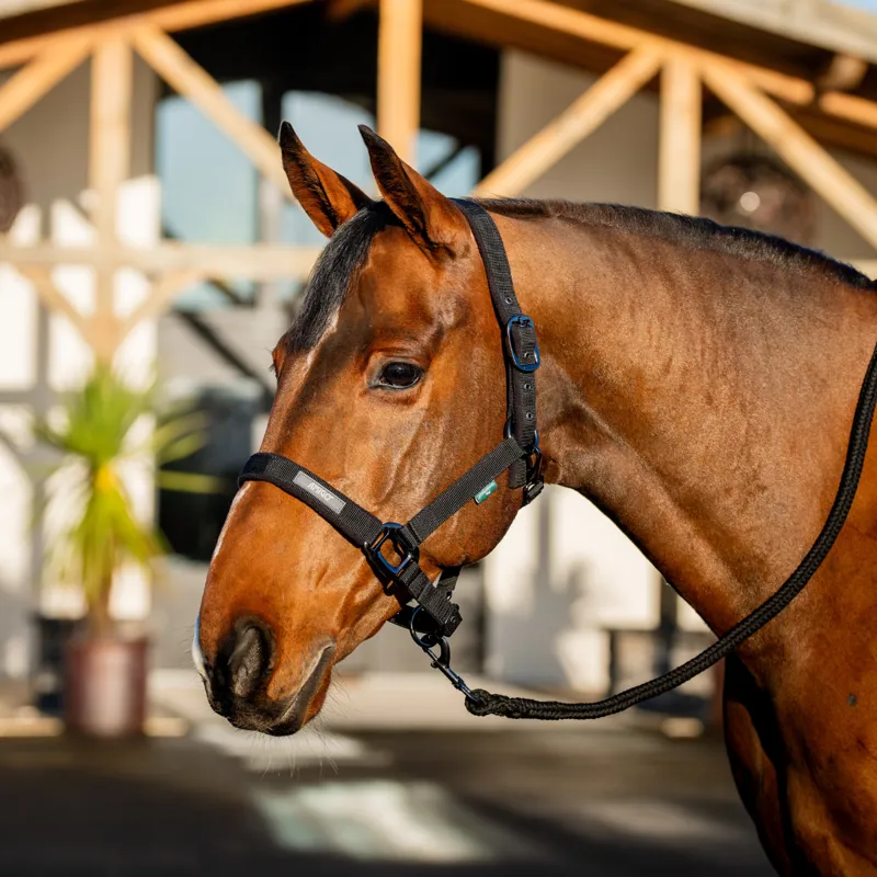 Horseware Amigo Headcollar and Leadrope Set - Black