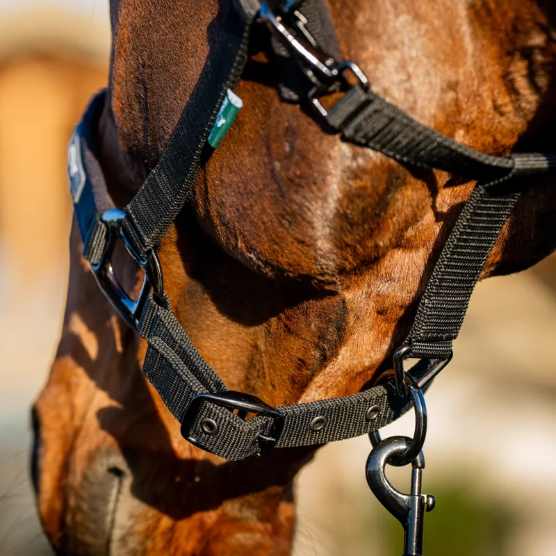 Horseware Amigo Headcollar and Leadrope Set - Black-2