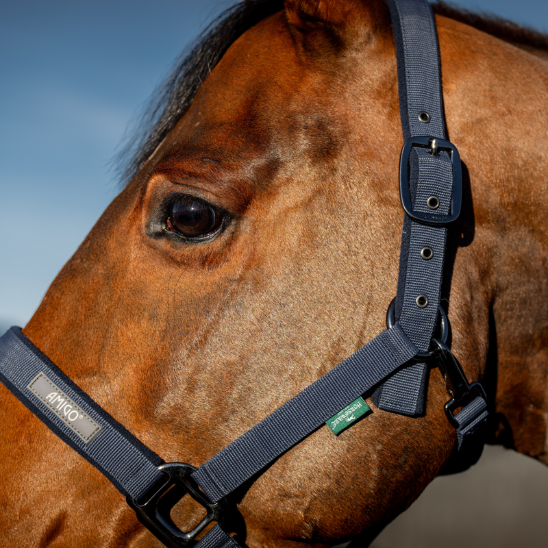Horseware Amigo Headcollar and Leadrope Set - Navy-3