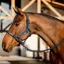 Horseware Amigo Headcollar and Leadrope Set - Navy