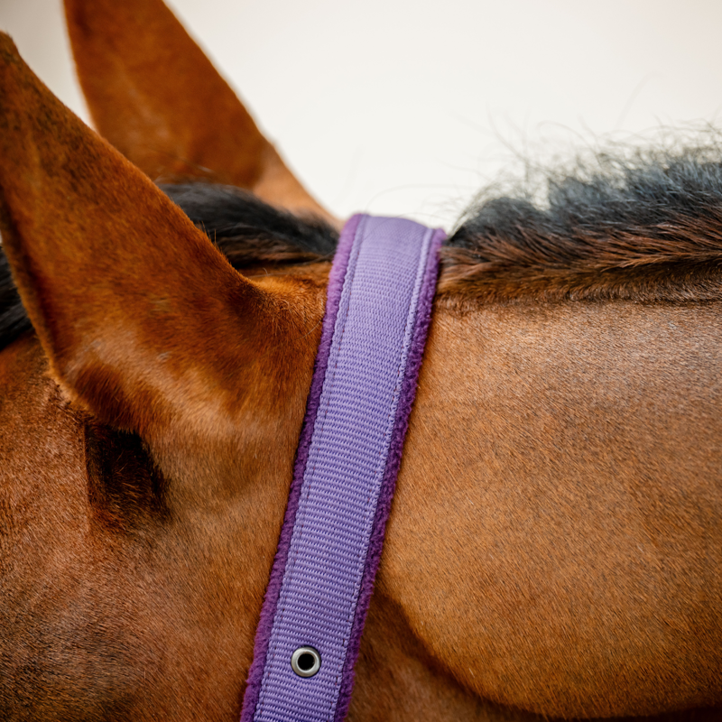 Horseware Amigo Headcollar and Leadrope Set - Winterberry-4