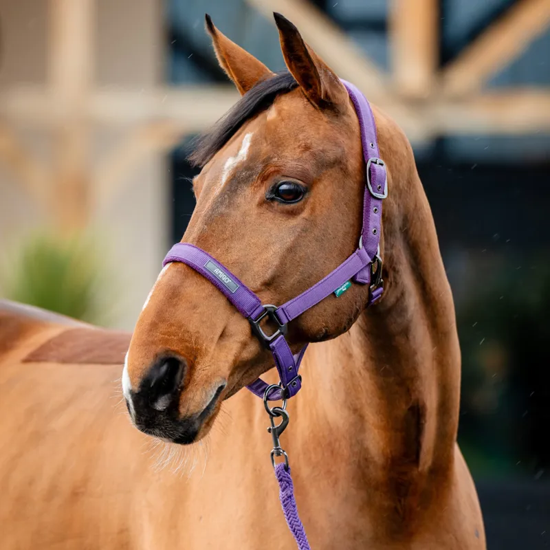 Horseware Amigo Headcollar and Leadrope Set - Winterberry