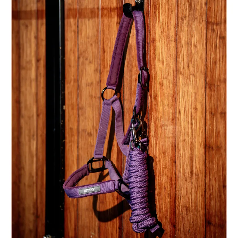 Horseware Amigo Headcollar and Leadrope Set - Winterberry-2